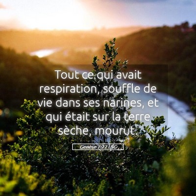 Picture 05 - Genèse 7:22 LSG - Tout ce qui avait respiration, souffle de vie - Bible Verse Picture