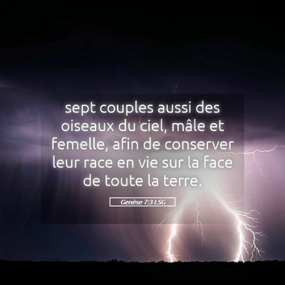 Picture 05 - Genèse 7:3 LSG - sept couples aussi des oiseaux du ciel, mâle et - Bible Verse Picture