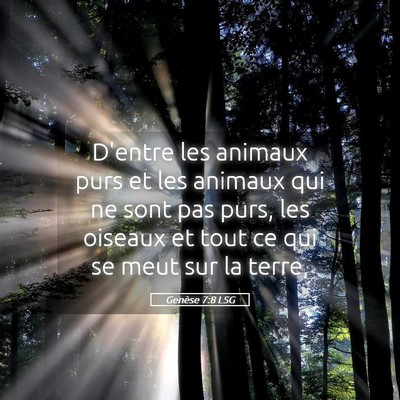 Picture 05 - Genèse 7:8 LSG - D'entre les animaux purs et les animaux qui ne - Bible Verse Picture