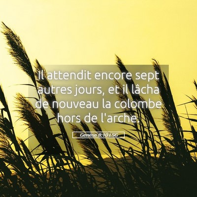 Picture 05 - Genèse 8:10 LSG - Il attendit encore sept autres jours, et il - Bible Verse Picture