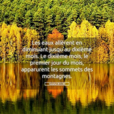 Picture 05 - Genèse 8:5 LSG - Les eaux allèrent en diminuant jusqu'au dixième - Bible Verse Picture