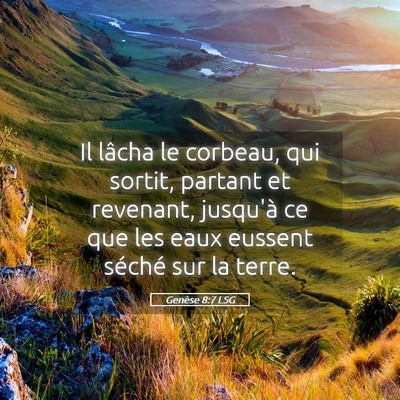 Picture 05 - Genèse 8:7 LSG - Il lâcha le corbeau, qui sortit, partant et - Bible Verse Picture