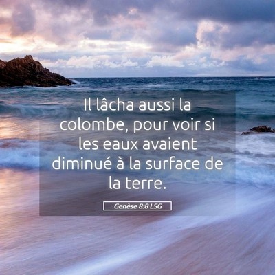 Picture 05 - Genèse 8:8 LSG - Il lâcha aussi la colombe, pour voir si les eaux - Bible Verse Picture