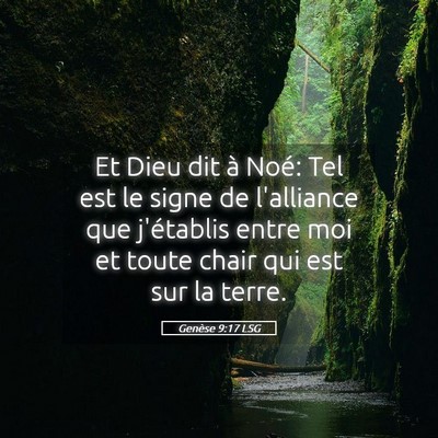 Picture 05 - Genèse 9:17 LSG - Et Dieu dit à Noé: Tel est le signe de - Bible Verse Picture