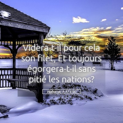 Picture 05 - Habacuc 1:17 LSG - Videra-t-il pour cela son filet, Et toujours - Bible Verse Picture