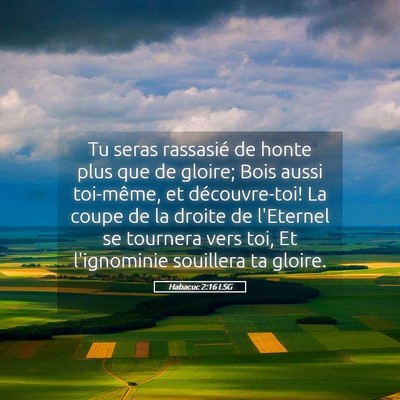 Picture 05 - Habacuc 2:16 LSG - Tu seras rassasié de honte plus que de gloire; - Bible Verse Picture