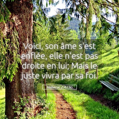 Picture 05 - Habacuc 2:4 LSG - Voici, son âme s'est enflée, elle n'est pas - Bible Verse Picture