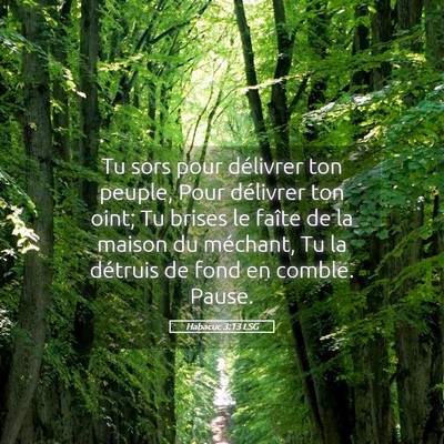 Picture 05 - Habacuc 3:13 LSG - Tu sors pour délivrer ton peuple, Pour délivrer - Bible Verse Picture
