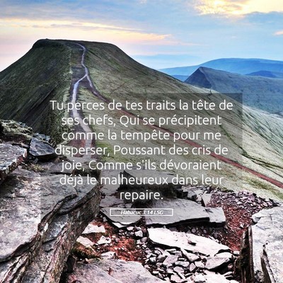 Picture 05 - Habacuc 3:14 LSG - Tu perces de tes traits la tête de ses chefs, - Bible Verse Picture