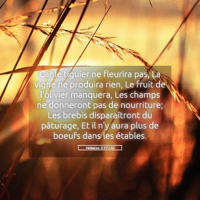 Picture 05 - Habacuc 3:17 LSG - Car le figuier ne fleurira pas, La vigne ne - Bible Verse Picture