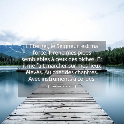 Picture 05 - Habacuc 3:19 LSG - L'Eternel, le Seigneur, est ma force; Il rend mes - Bible Verse Picture
