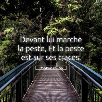 Picture 05 - Habacuc 3:5 LSG - Devant lui marche la peste, Et la peste est sur - Bible Verse Picture