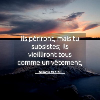 Picture 05 - Hébreux 1:11 LSG - Ils périront, mais tu subsistes; Ils vieilliront - Bible Verse Picture