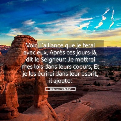 Picture 05 - Hébreux 10:16 LSG - Voici l'alliance que je ferai avec eux, Après - Bible Verse Picture