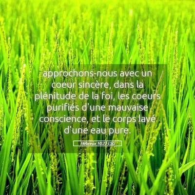 Picture 05 - Hébreux 10:22 LSG - approchons-nous avec un coeur sincère, dans la - Bible Verse Picture