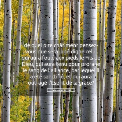 Picture 05 - Hébreux 10:29 LSG - de quel pire châtiment pensez-vous que sera - Bible Verse Picture