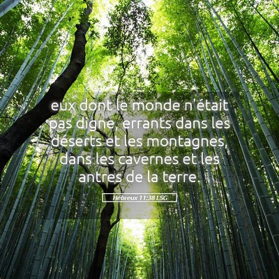 Picture 05 - Hébreux 11:38 LSG - eux dont le monde n'était pas digne, errants - Bible Verse Picture