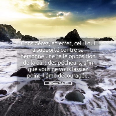 Picture 05 - Hébreux 12:3 LSG - Considérez, en effet, celui qui a supporté - Bible Verse Picture