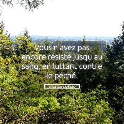 Picture 05 - Hébreux 12:4 LSG - Vous n'avez pas encore résisté jusqu'au sang, - Bible Verse Picture