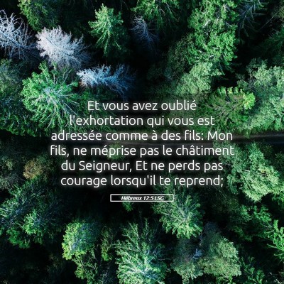 Picture 05 - Hébreux 12:5 LSG - Et vous avez oublié l'exhortation qui vous est - Bible Verse Picture