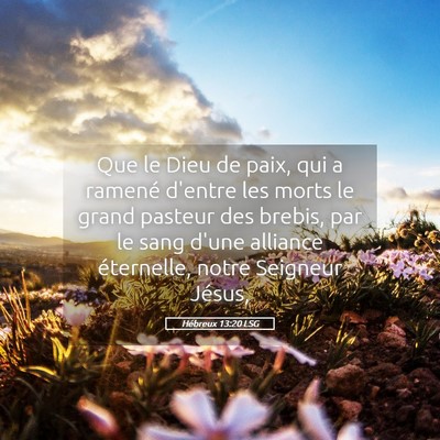 Picture 05 - Hébreux 13:20 LSG - Que le Dieu de paix, qui a ramené d'entre les - Bible Verse Picture