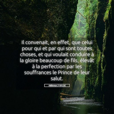 Picture 05 - Hébreux 2:10 LSG - Il convenait, en effet, que celui pour qui et par - Bible Verse Picture