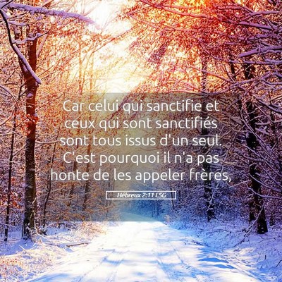 Picture 05 - Hébreux 2:11 LSG - Car celui qui sanctifie et ceux qui sont - Bible Verse Picture