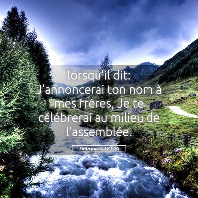 Picture 05 - Hébreux 2:12 LSG - lorsqu'il dit: J'annoncerai ton nom à mes - Bible Verse Picture