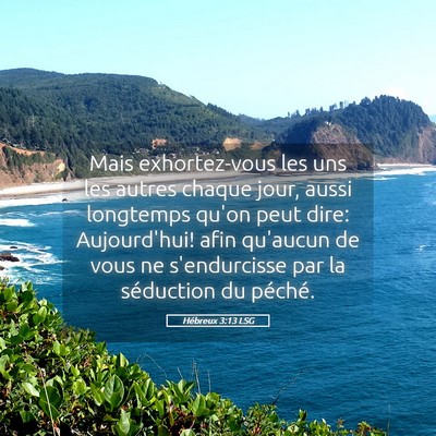 Picture 05 - Hébreux 3:13 LSG - Mais exhortez-vous les uns les autres chaque - Bible Verse Picture
