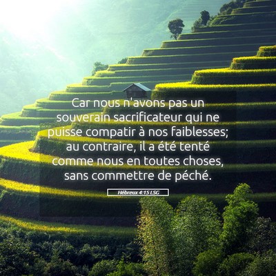 Picture 05 - Hébreux 4:15 LSG - Car nous n'avons pas un souverain sacrificateur - Bible Verse Picture
