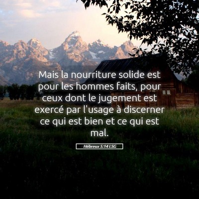 Picture 05 - Hébreux 5:14 LSG - Mais la nourriture solide est pour les hommes - Bible Verse Picture