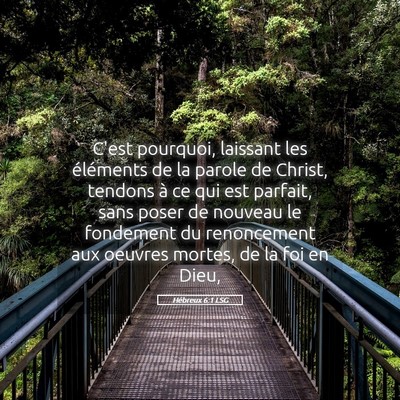Picture 05 - Hébreux 6:1 LSG - C'est pourquoi, laissant les éléments de la - Bible Verse Picture