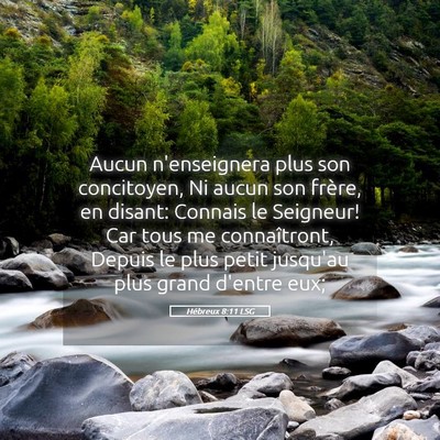Picture 05 - Hébreux 8:11 LSG - Aucun n'enseignera plus son concitoyen, Ni aucun - Bible Verse Picture