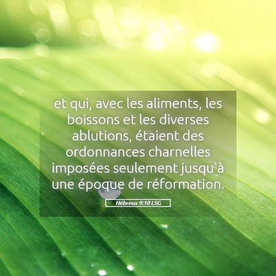 Picture 05 - Hébreux 9:10 LSG - et qui, avec les aliments, les boissons et les - Bible Verse Picture