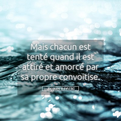 Picture 05 - Jacques 1:14 LSG - Mais chacun est tenté quand il est attiré et - Bible Verse Picture