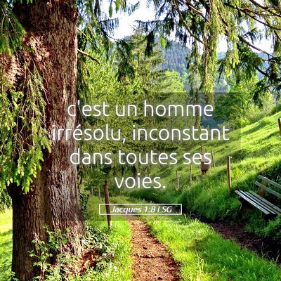 Picture 05 - Jacques 1:8 LSG - c'est un homme irrésolu, inconstant dans toutes - Bible Verse Picture