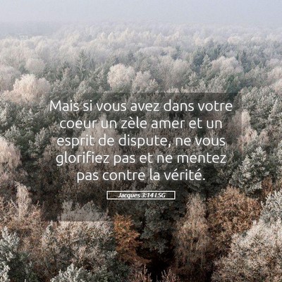 Picture 05 - Jacques 3:14 LSG - Mais si vous avez dans votre coeur un zèle amer - Bible Verse Picture