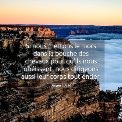 Picture 05 - Jacques 3:3 LSG - Si nous mettons le mors dans la bouche des - Bible Verse Picture