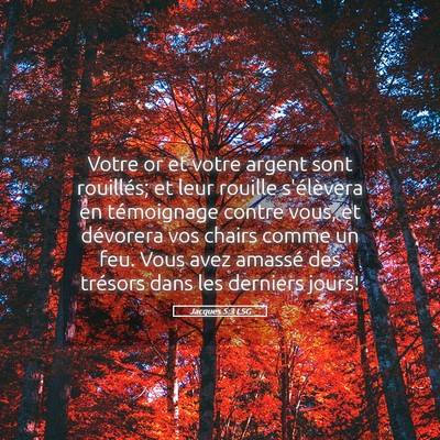 Picture 05 - Jacques 5:3 LSG - Votre or et votre argent sont rouillés; et leur - Bible Verse Picture