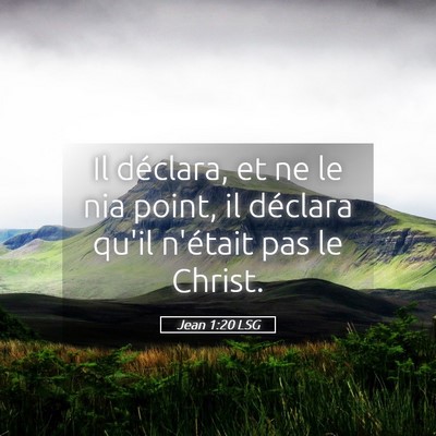 Picture 05 - Jean 1:20 LSG - Il déclara, et ne le nia point, il déclara - Bible Verse Picture