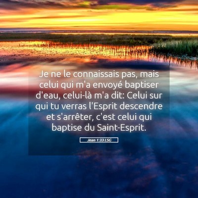 Picture 05 - Jean 1:33 LSG - Je ne le connaissais pas, mais celui qui m'a - Bible Verse Picture