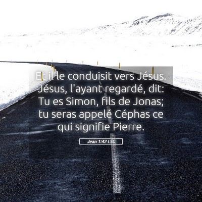 Picture 05 - Jean 1:42 LSG - Et il le conduisit vers Jésus. Jésus, l'ayant - Bible Verse Picture