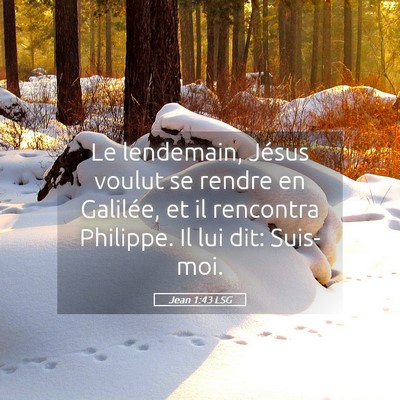 Picture 05 - Jean 1:43 LSG - Le lendemain, Jésus voulut se rendre en - Bible Verse Picture