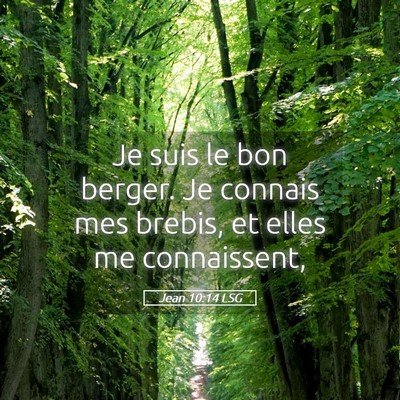 Picture 05 - Jean 10:14 LSG - Je suis le bon berger. Je connais mes brebis, et - Bible Verse Picture