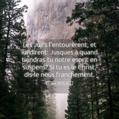 Picture 05 - Jean 10:24 LSG - Les Juifs l'entourèrent, et lui dirent: Jusques - Bible Verse Picture