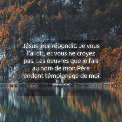 Picture 05 - Jean 10:25 LSG - Jésus leur répondit: Je vous l'ai dit, et vous - Bible Verse Picture