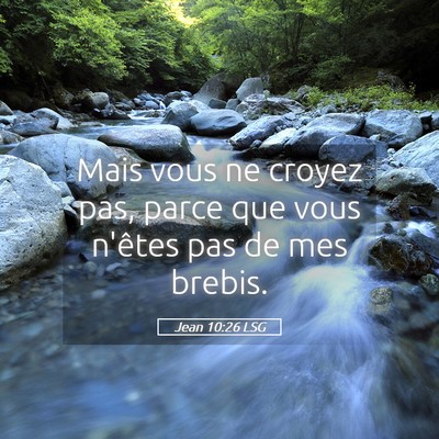 Picture 05 - Jean 10:26 LSG - Mais vous ne croyez pas, parce que vous n'êtes - Bible Verse Picture