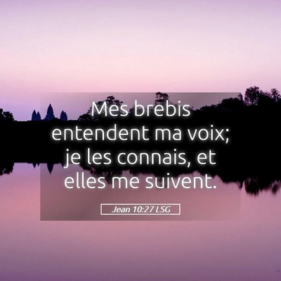 Picture 05 - Jean 10:27 LSG - Mes brebis entendent ma voix; je les connais, et - Bible Verse Picture