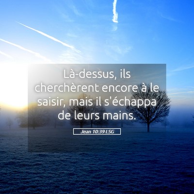 Picture 05 - Jean 10:39 LSG - Là-dessus, ils cherchèrent encore à le saisir, - Bible Verse Picture