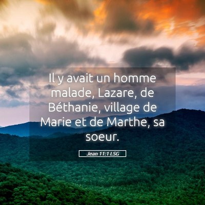 Picture 05 - Jean 11:1 LSG - Il y avait un homme malade, Lazare, de Béthanie, - Bible Verse Picture